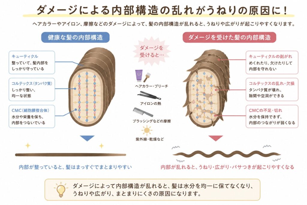 髪　うねり　原因